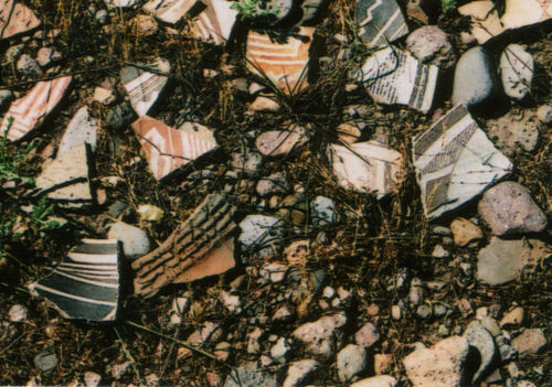 Mimbres Sherds