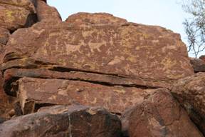 Some of the Hohokam petroglyphs at the Picture Rocks site; photo courtesy of Picture Rocks Redemptorist Renewal Center, Tucson